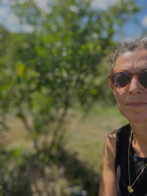Profiter des journées un peu moins chaudes pour reprendre les travaux dans les vergers : tailler les drageons et éclaircir les fruits trop petits…
Pour préparer au mieux la récolte en octobre 
#vergersbio #grenadefruit #paysdebergerac